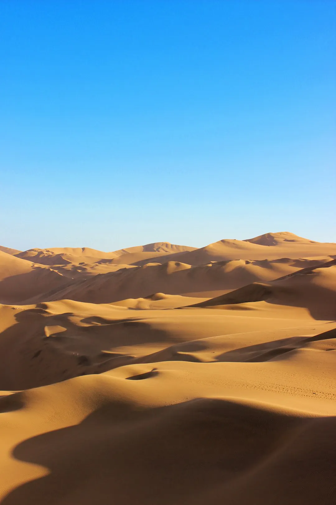 Tall 2:3 photo of orange sand dunes under a clear blue sky, the original before the image expander