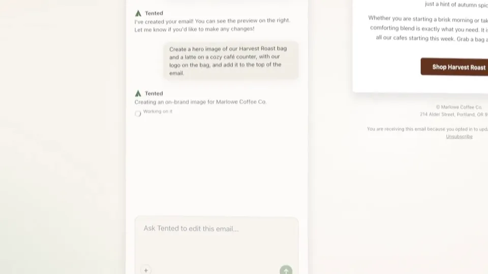 Product Demo for an Email Marketing Agent ఉదాహరణ