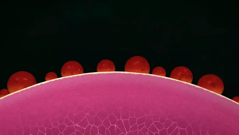 Crayon Stroke Title Cards Recreate a Model, Original video