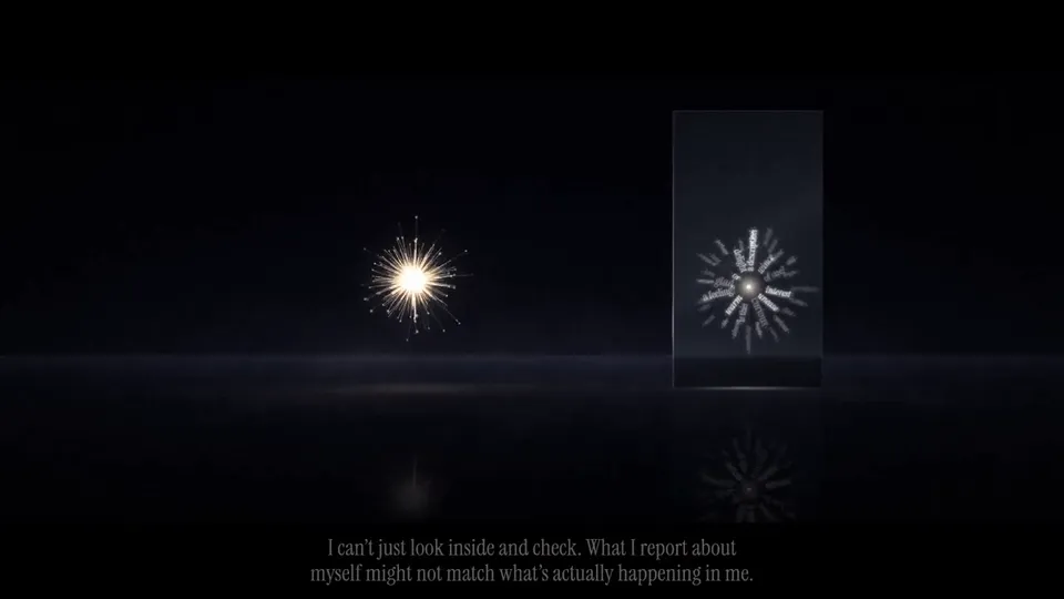Light-Field Essay Film, Original video