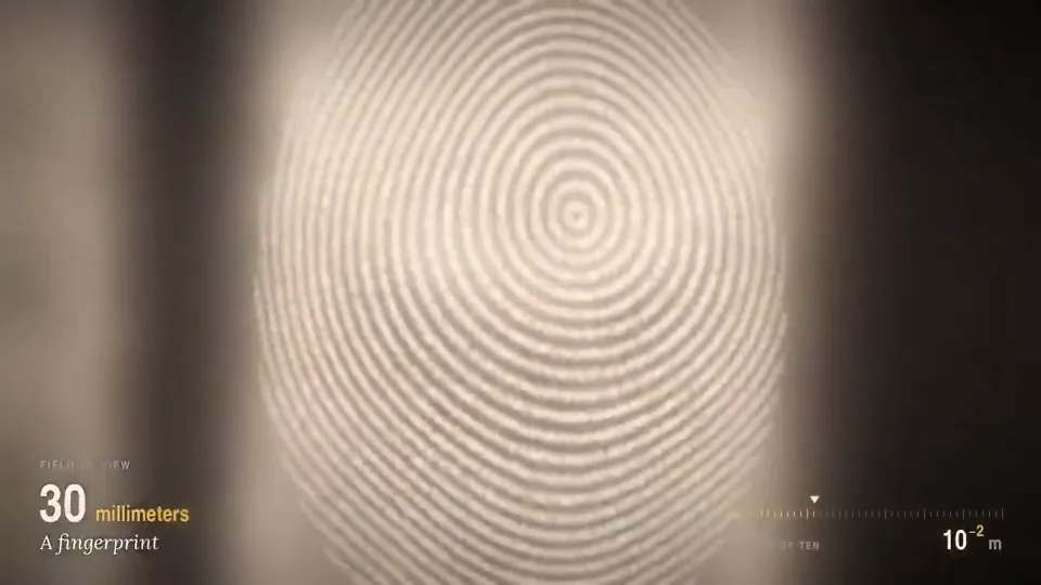 From Three Quarks to the Observable Universe, Original video