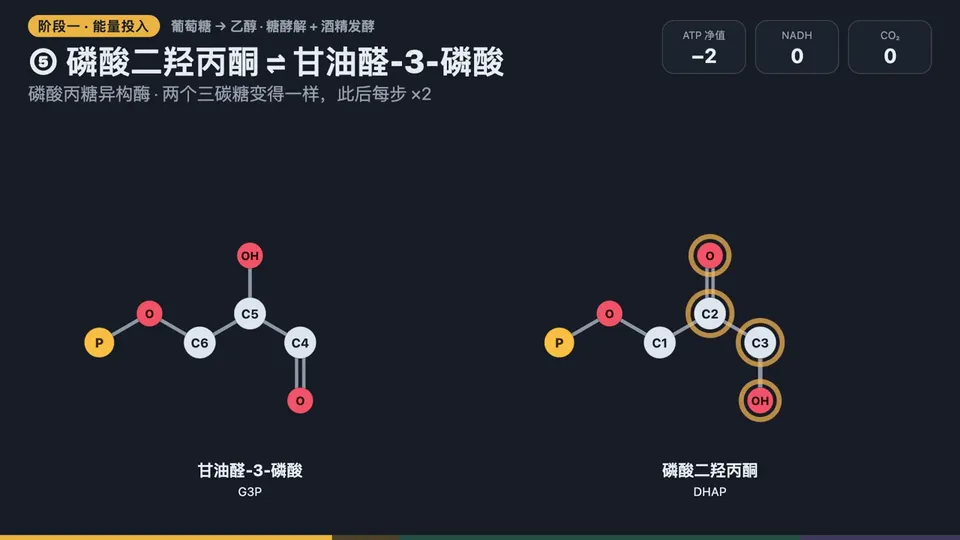 Pathway Diagram Explainer, Original video