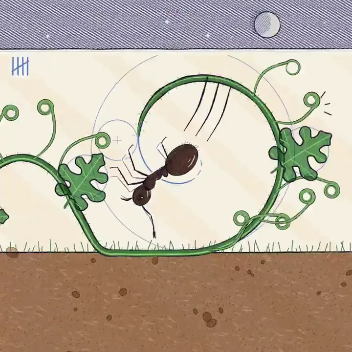 Hand Drawn Story Morph, Original video