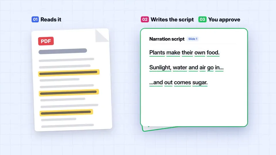 Hand Drawn Photosynthesis Diagram Synced to, Original video