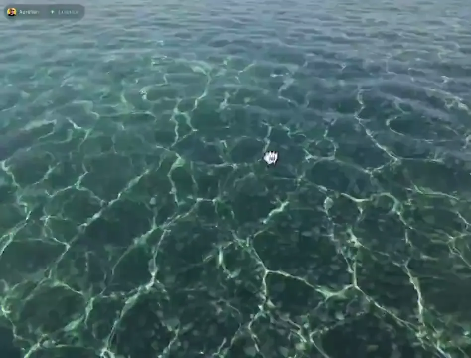Clear-Water Caustics Film, Original video