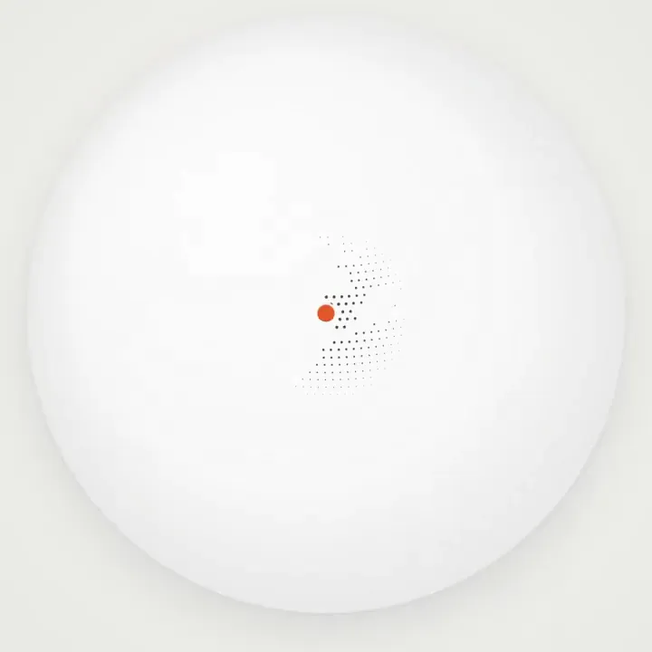 A Continuously Morphing Product Story, Original video