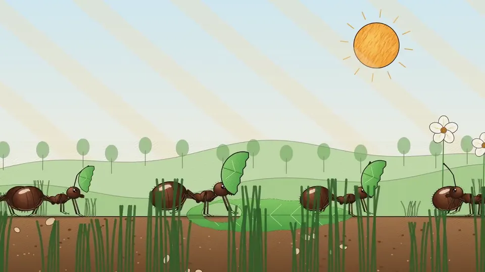 Storybook ant leaf-hauling film, Original video