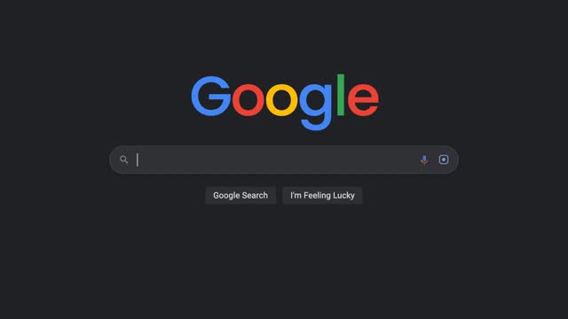 Google search bar