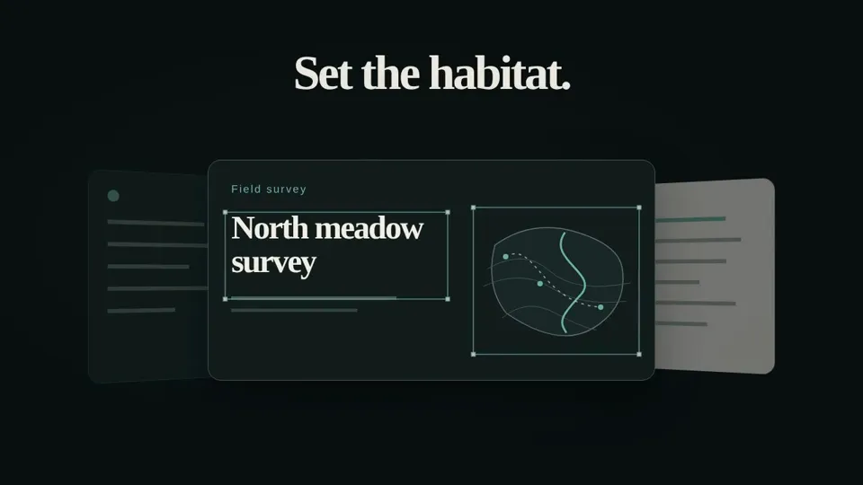 Serif wordmark and scoring app launch film, New topic