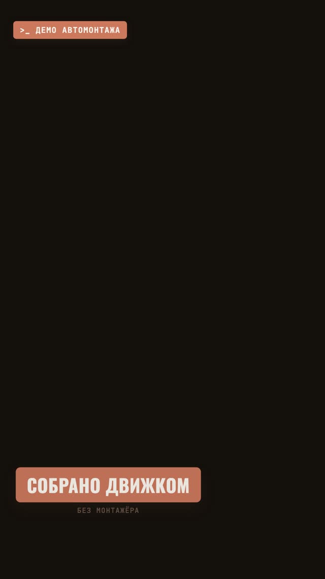 AutoMontage-Agent example