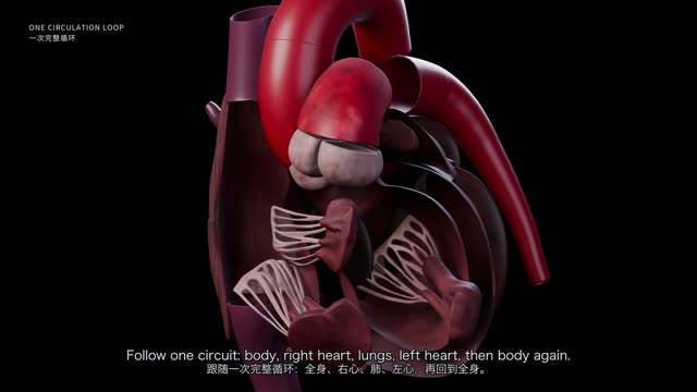 Make Blender Education Video Skill, Demo video