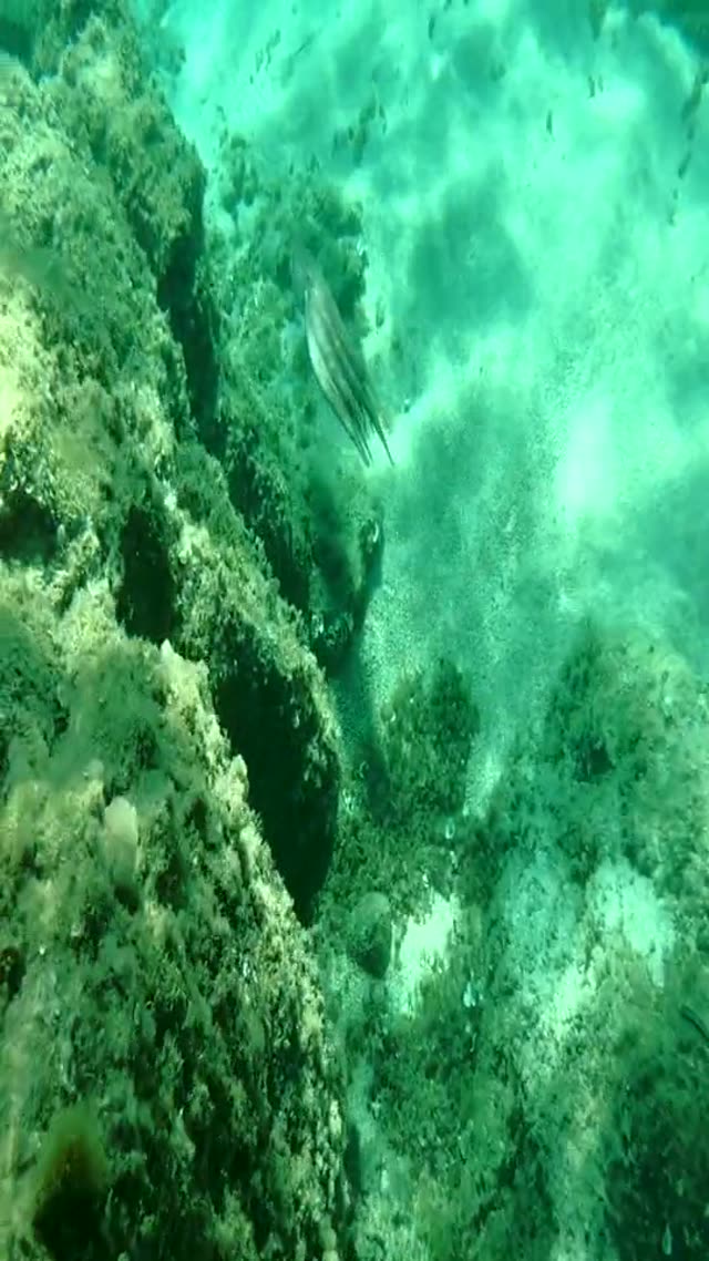 Beat Synced Edit, Demo video